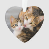Moederkat houdt van Cute Kitten acrylversiering Ornament (achterkant)