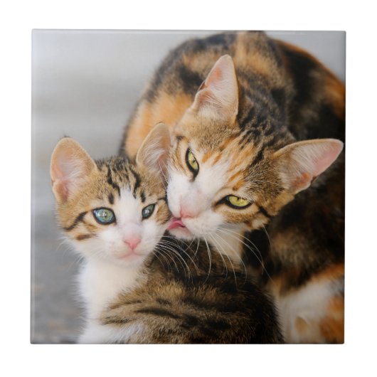 Moederkat houdt van Cute Kitten, keramisch Tegeltje (Voorkant)
