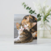 Moederkat houdt van schattige kitten briefkaart (Staand voorkant)