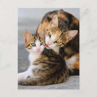 Moederkat houdt van schattige kitten briefkaart