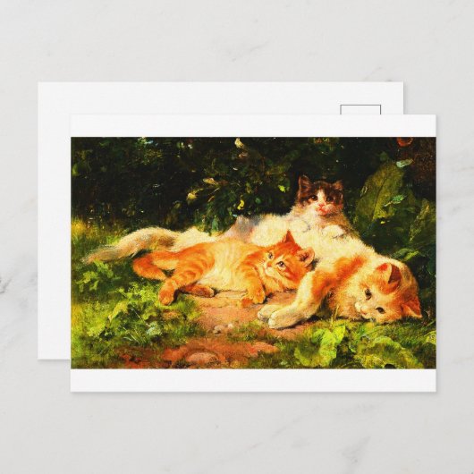  moederkat met haar speelse kinderen briefkaart (Voorkant / Achterkant)