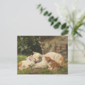 Moederkat met Kittens | Julius Adam de Jongere Briefkaart (Staand voorkant)