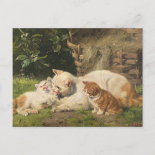 Moederkat met Kittens   Julius Adam de Jongere Briefkaart