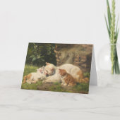 Moederkat met Kittens | Julius Adam de Jongere Kaart (Voorkant)