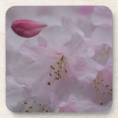 Moederkazeres Drankjes Onderzetter (Voorkant)