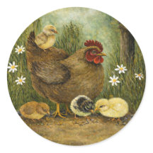 Moederkip met kuikens die zonnebloempitten eten