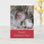 Moederkip met New Chicks Wenskaart Kaart (Gele Bloem)