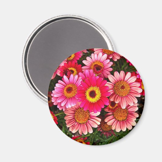 Moederkring Magneet (Voorkant / Achterkant)