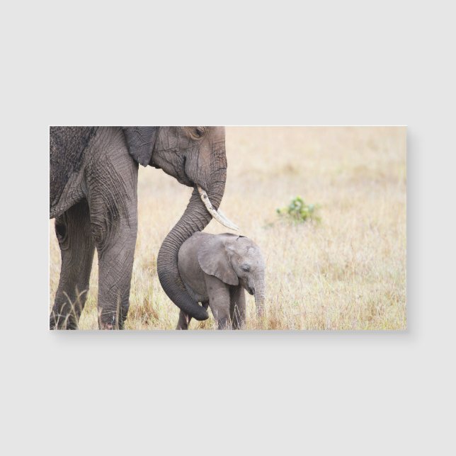 Moederliefde (Voorkant)