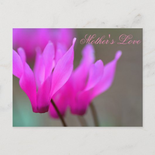 Moederliefde 2 briefkaart (Voorkant)