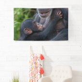 Moederliefde – Baby Chimpansee Spandoek (Insitu)