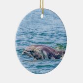 Moederliefde Dolphin & Baby Ornament (Rechts)