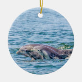 Moederliefde Dolphin & Baby Ornament (Voorkant)