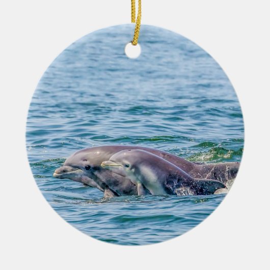 Moederliefde Dolphin & Baby Ornament (Voorkant)