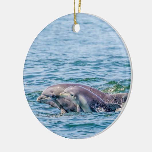 Moederliefde Dolphin & Baby Ornament (Links)