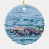 Moederliefde Dolphin & Baby Ornament (Achterkant)
