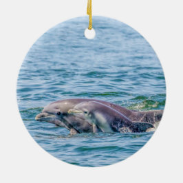 Moederliefde Dolphin & Baby Ornament