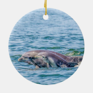 Moederliefde Dolphin & Baby Ornament