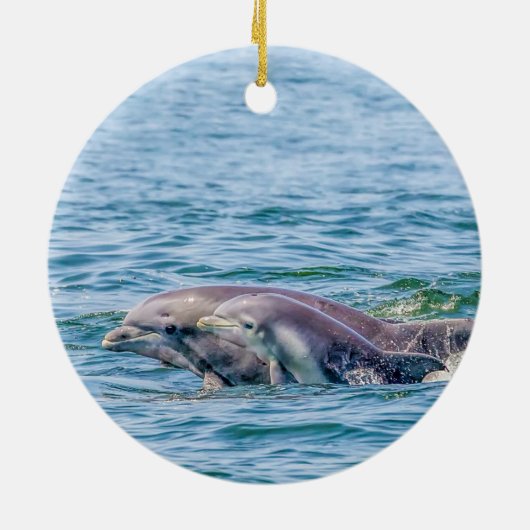 Moederliefde Dolphin & Baby Ornament (Achterkant)