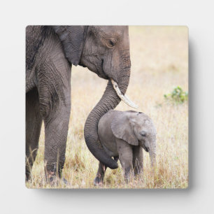 Moederliefde Fotoplaat