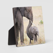 Moederliefde Fotoplaat (Voorkant)