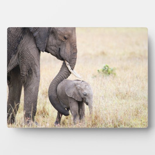 Moederliefde Fotoplaat (voorkant)