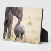 Moederliefde Fotoplaat (Zijkant)