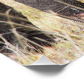 Moederliefde Poster (Hoek)