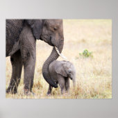 Moederliefde Poster (Voorkant)