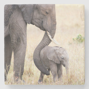 Moederliefde Stenen Onderzetter