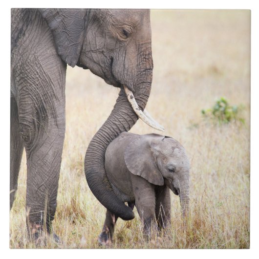 Moederliefde Tegeltje (Voorkant)