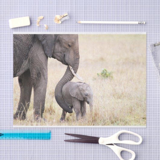 Moederliefde Tissuepapier (Craft)