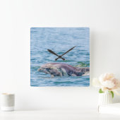 Moederliefdesdolfijn en Baby klok (Huis)