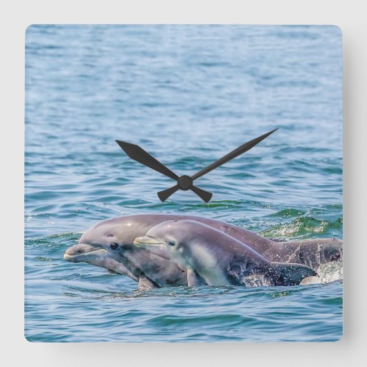 Moederliefdesdolfijn en Baby klok (Voorkant)