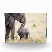 Moederlijk liefdesolifant baby fotoblokken (Voorkant)