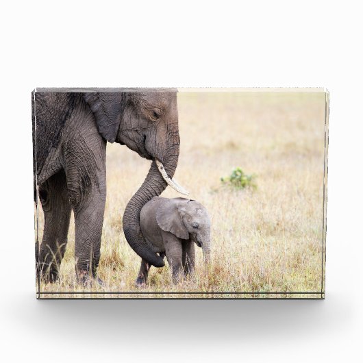 Moederlijk liefdesolifant baby fotoblokken (Voorkant)