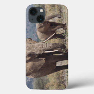 Moederolifant die loopt met olifantenkalf iPhone 13 hoesje