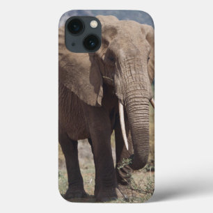 Moederolifant die loopt met olifantenkalf iPhone 13 hoesje