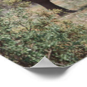 Moederolifant die loopt met olifantenkalf poster (Hoek)