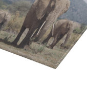 Moederolifant die loopt met olifantenkalf snijplank (Hoek)