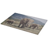 Moederolifant die loopt met olifantenkalf snijplank (Hoek)