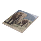 Moederolifant die loopt met olifantenkalf tegeltje (Zijkant)