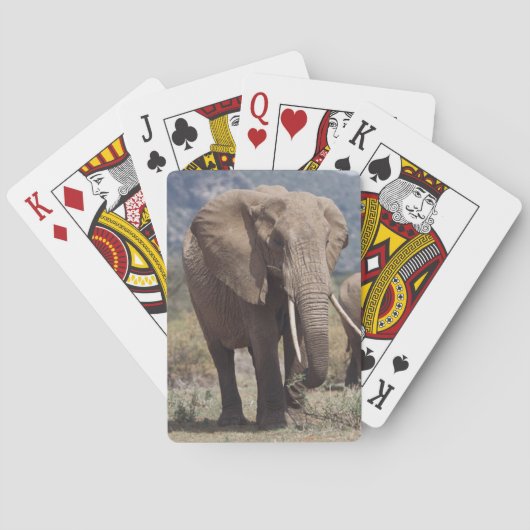 Moederolifant loopt met olifantkalf speelkaarten (Achterkant)