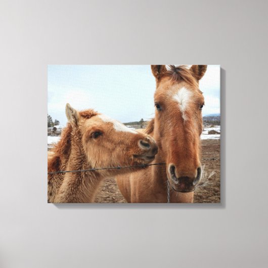 Moederpaard en veulen canvas afdruk (Voorkant)
