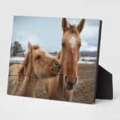 Moederpaard en veulen fotoplaat (Zijkant)