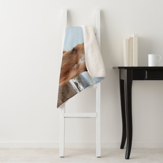 Moederpaarden en -dieren sherpa deken (In situ)