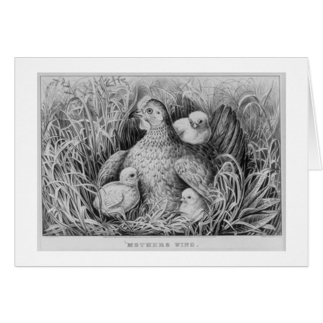 &, moeders (Voorkant Horizontaal)