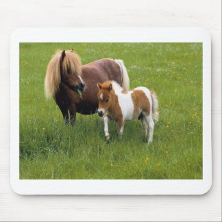Moeders en baby's (17) muismat