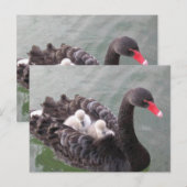 Moeders houden van Briefkaart (Voorkant / Achterkant)