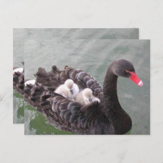 Moeders Liefde Ansichtkaart Briefkaart (Voorkant / Achterkant)